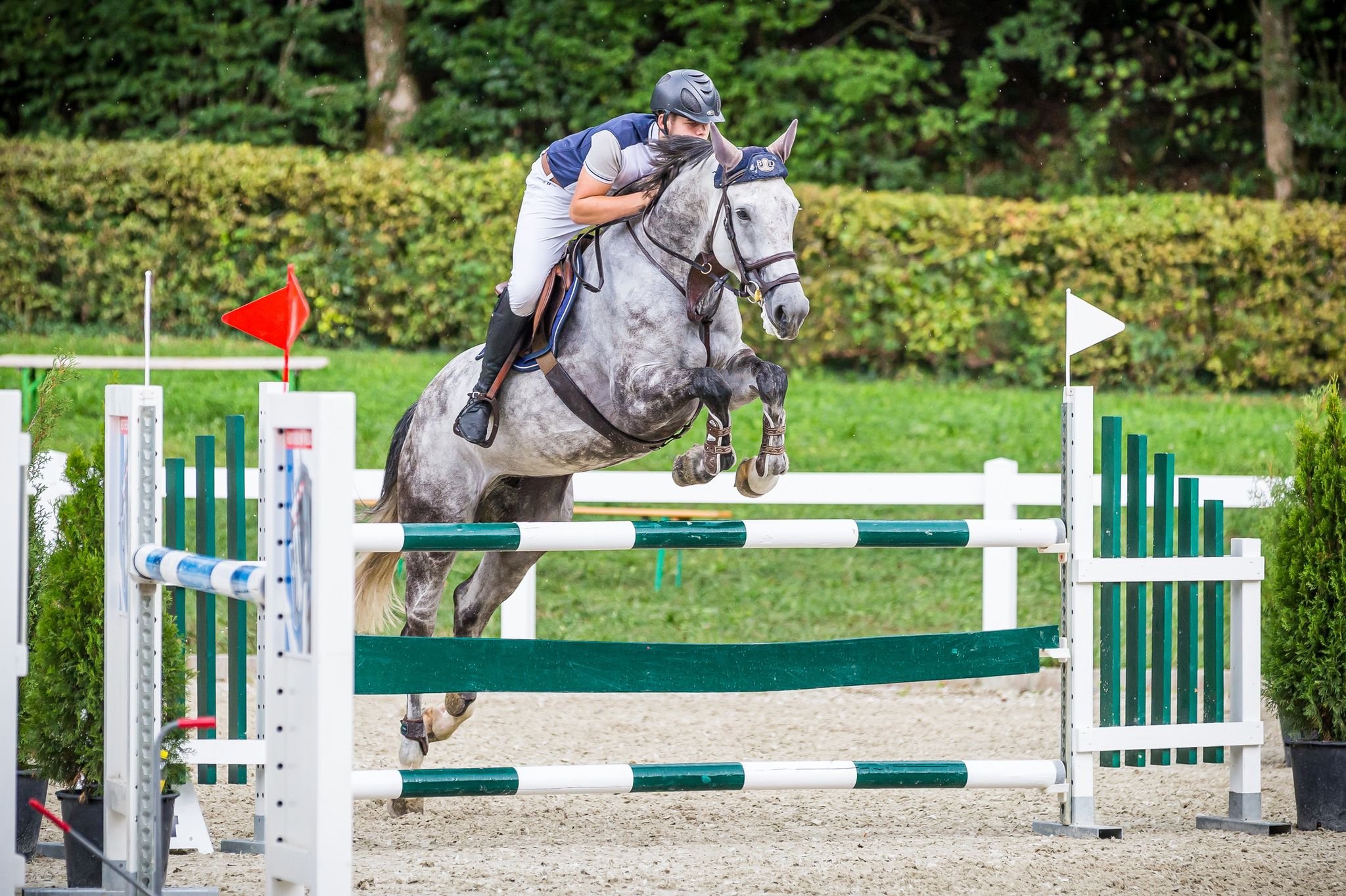 WhatsApp Image 2022-08-28 at 10.31.56.jpeg