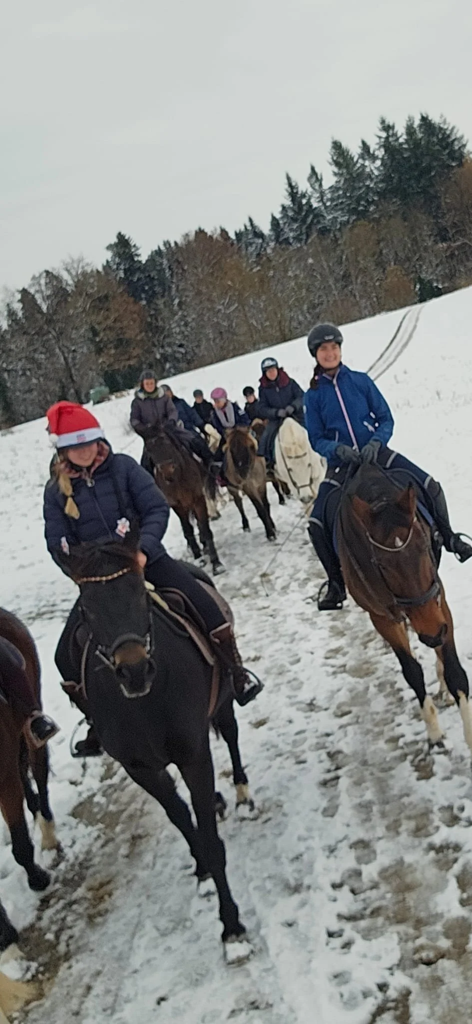 20241124_181448000_iOS 1.jpg