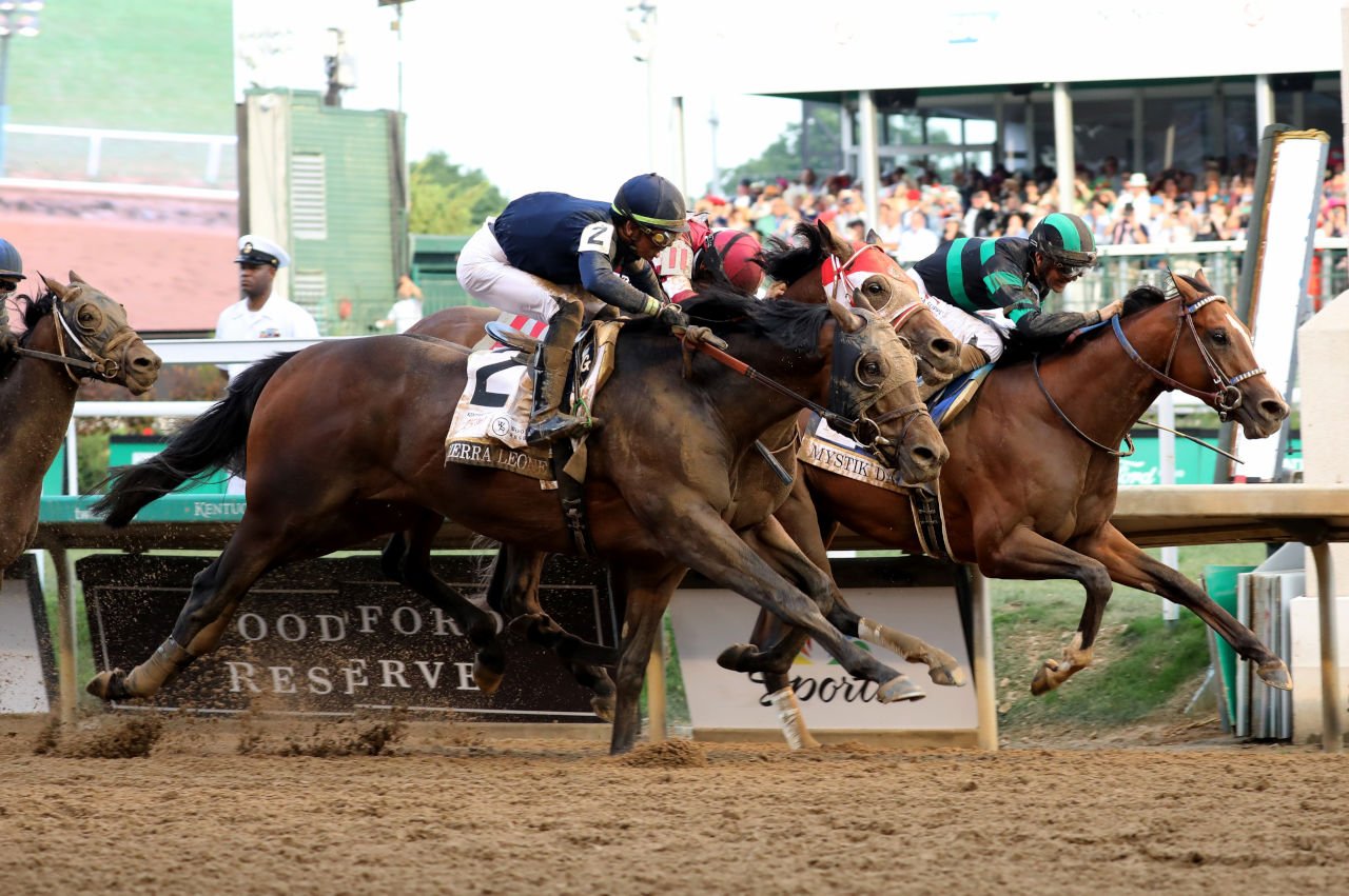 What Thoroughbred Energy Feels Like