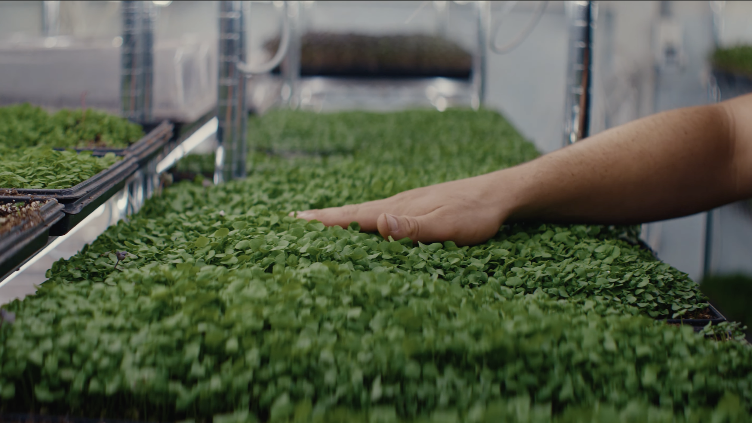 TurboTax - What Did You Make This Year?