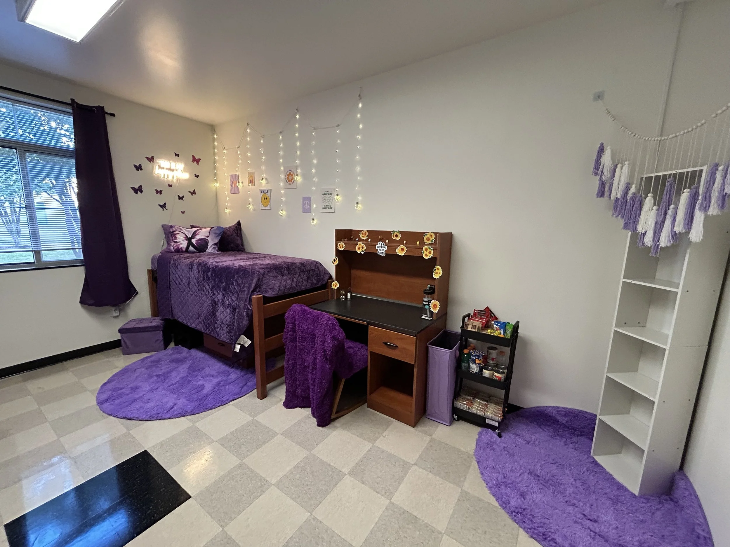 Freshman Fresh purple dorm room