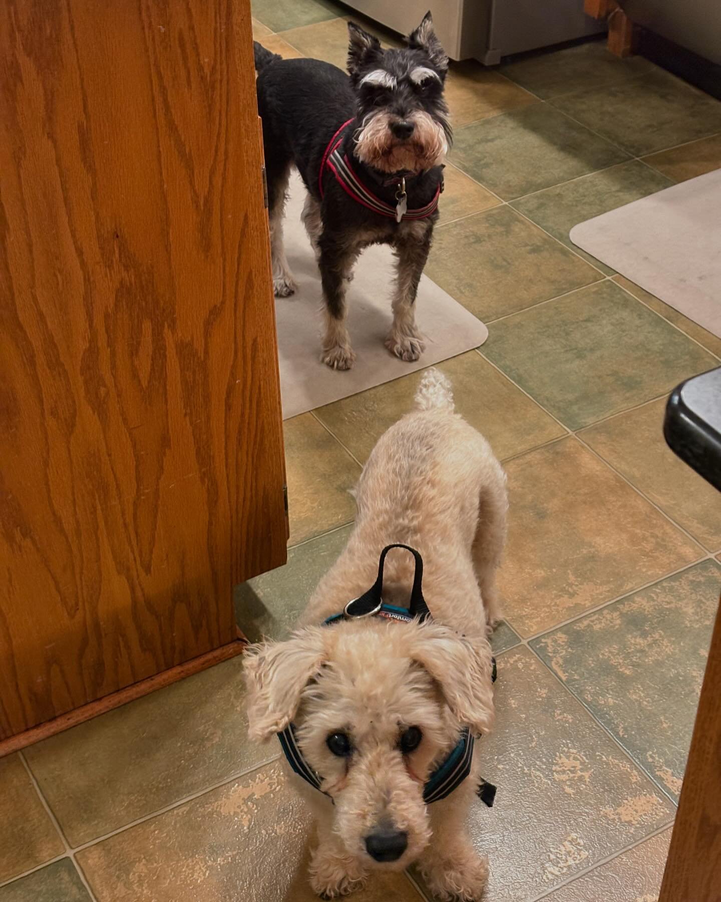 &ldquo;Why are you leaving us to go to work?&rdquo;