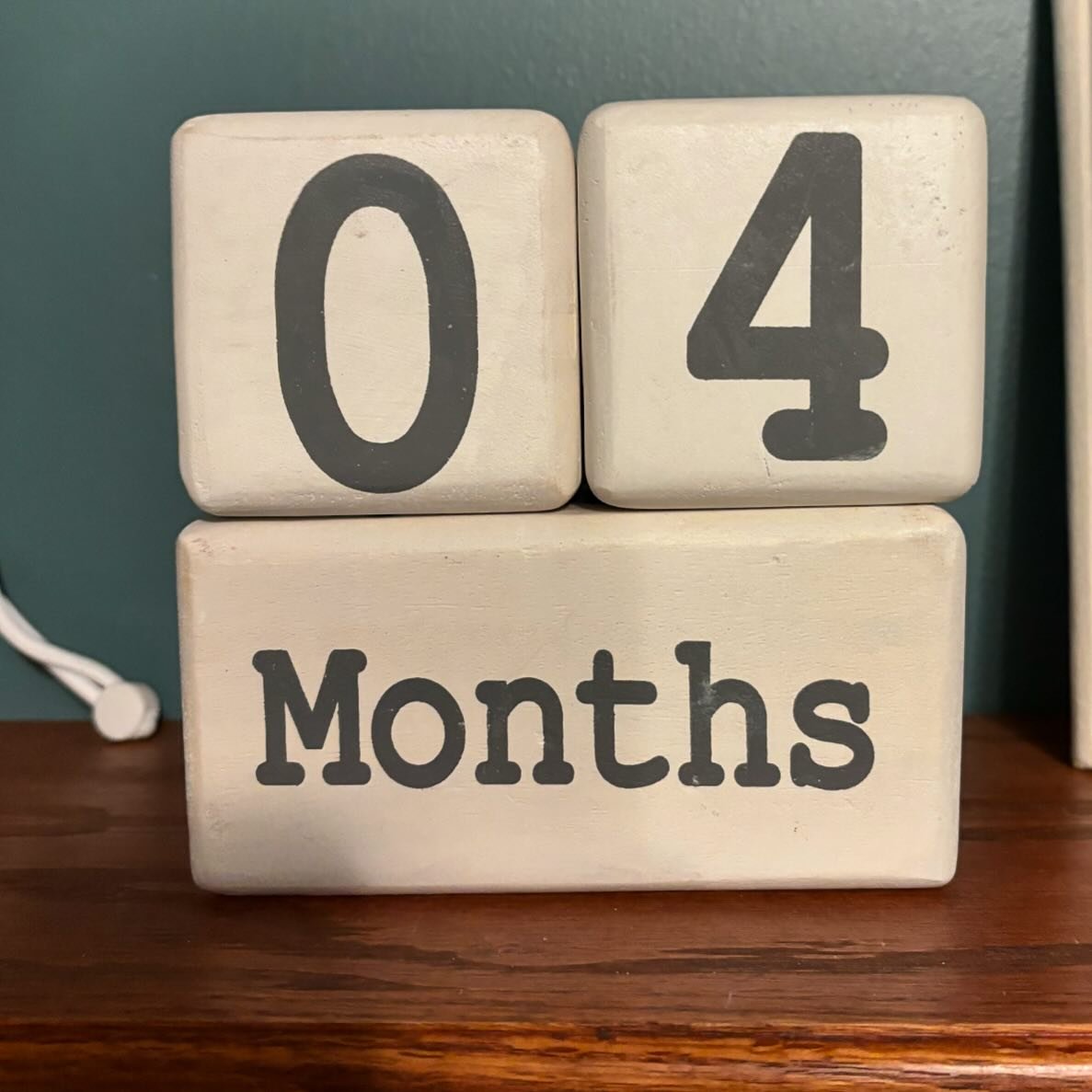 Our little guy turned 4 months old yesterday!