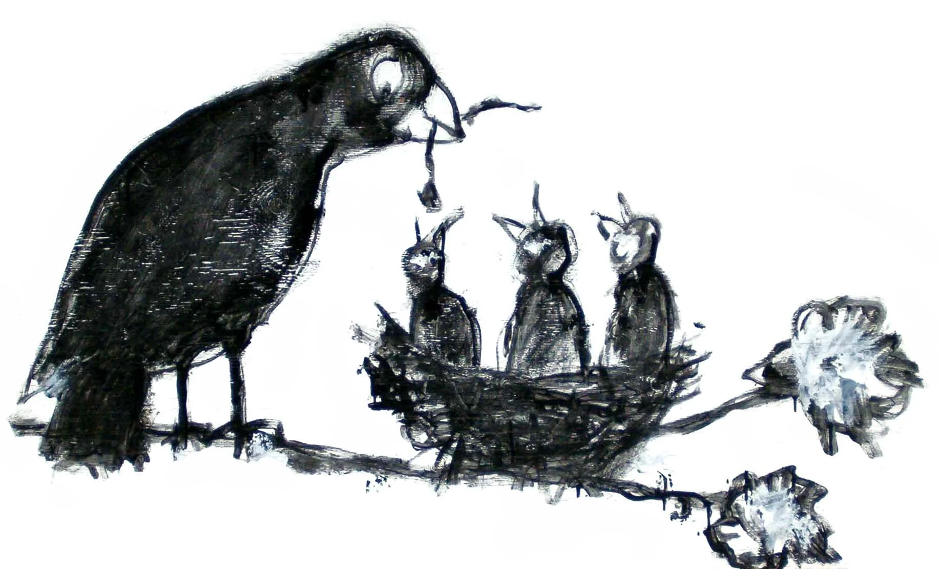 eula-birdnest family.jpg
