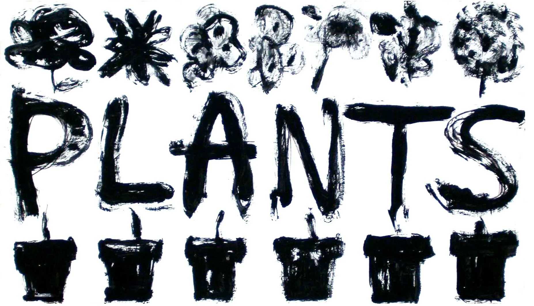 eula-plants.jpg
