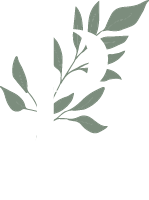 Providence Midwifery Services, PLLC