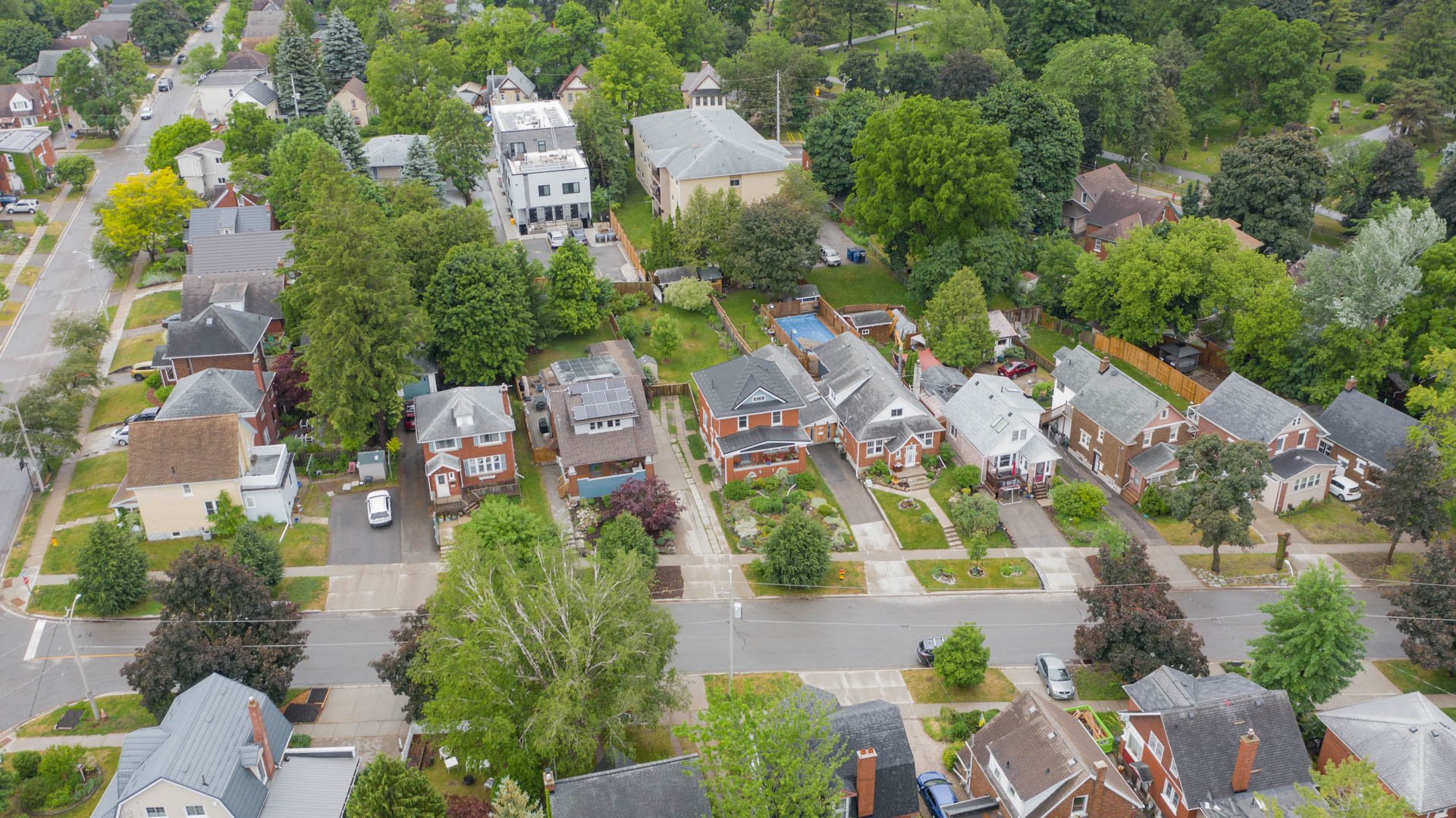 DJI_0781.jpg