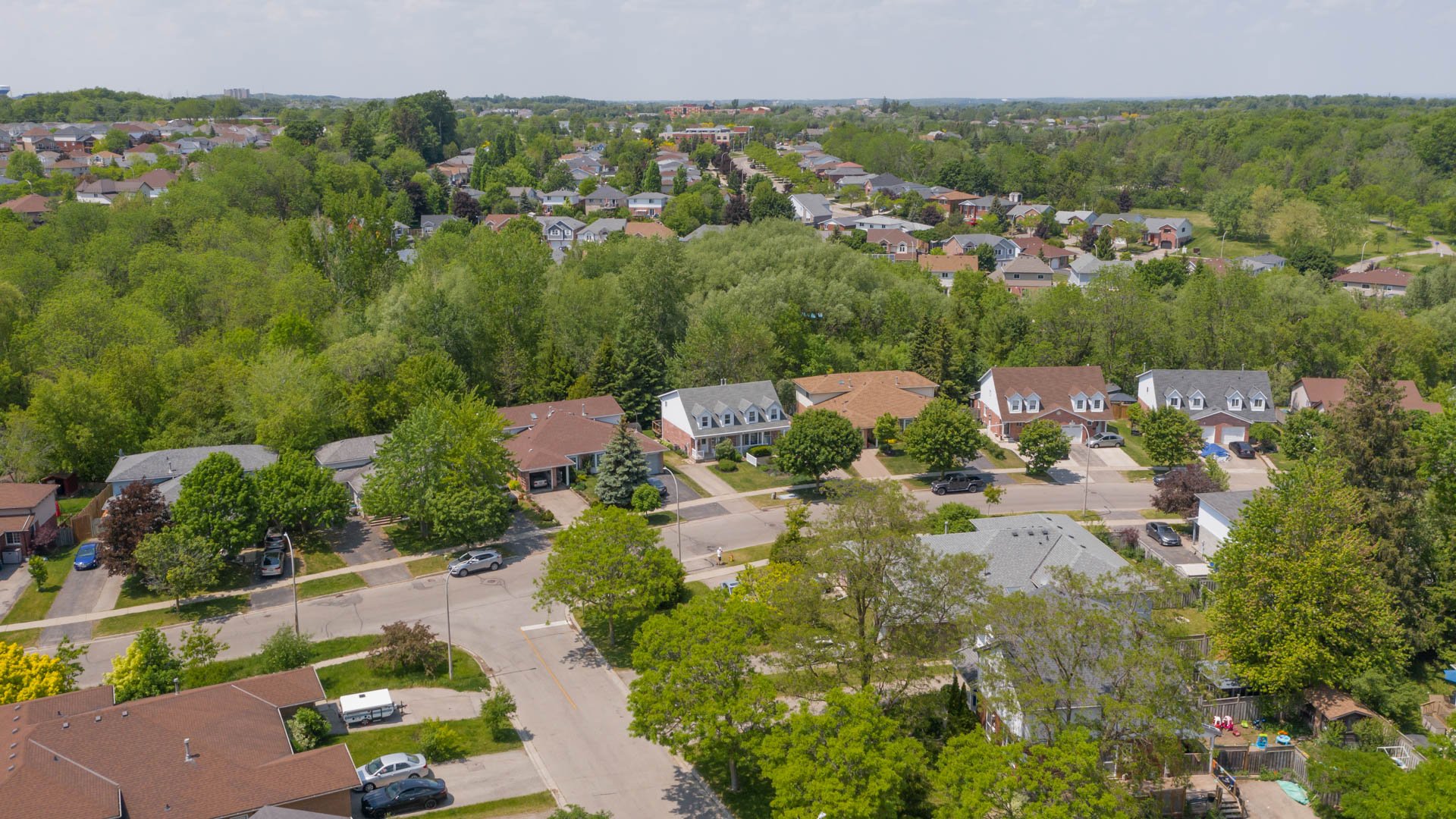 DJI_0655.jpg