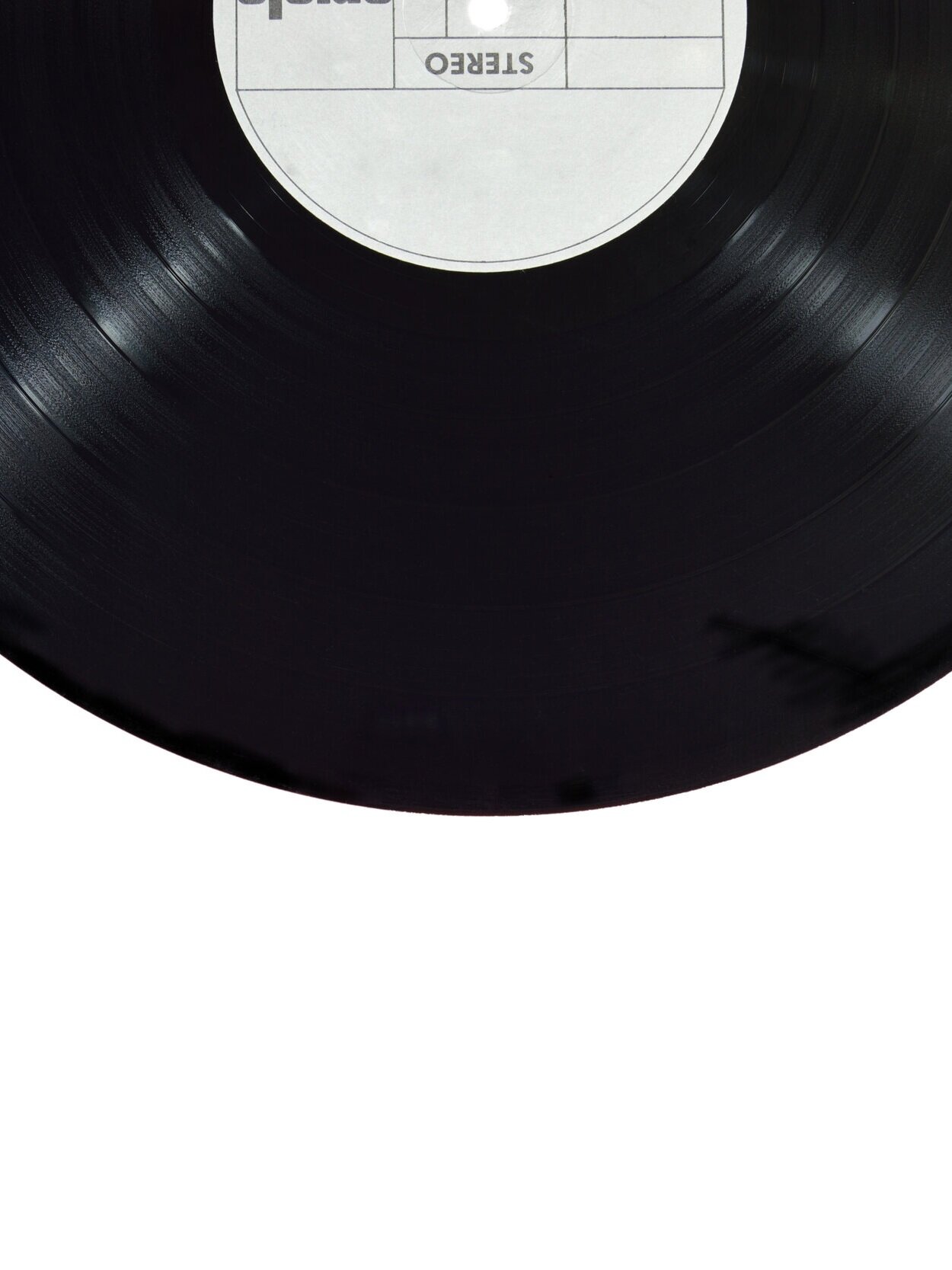 Photo by Miguel Á. Padriñán