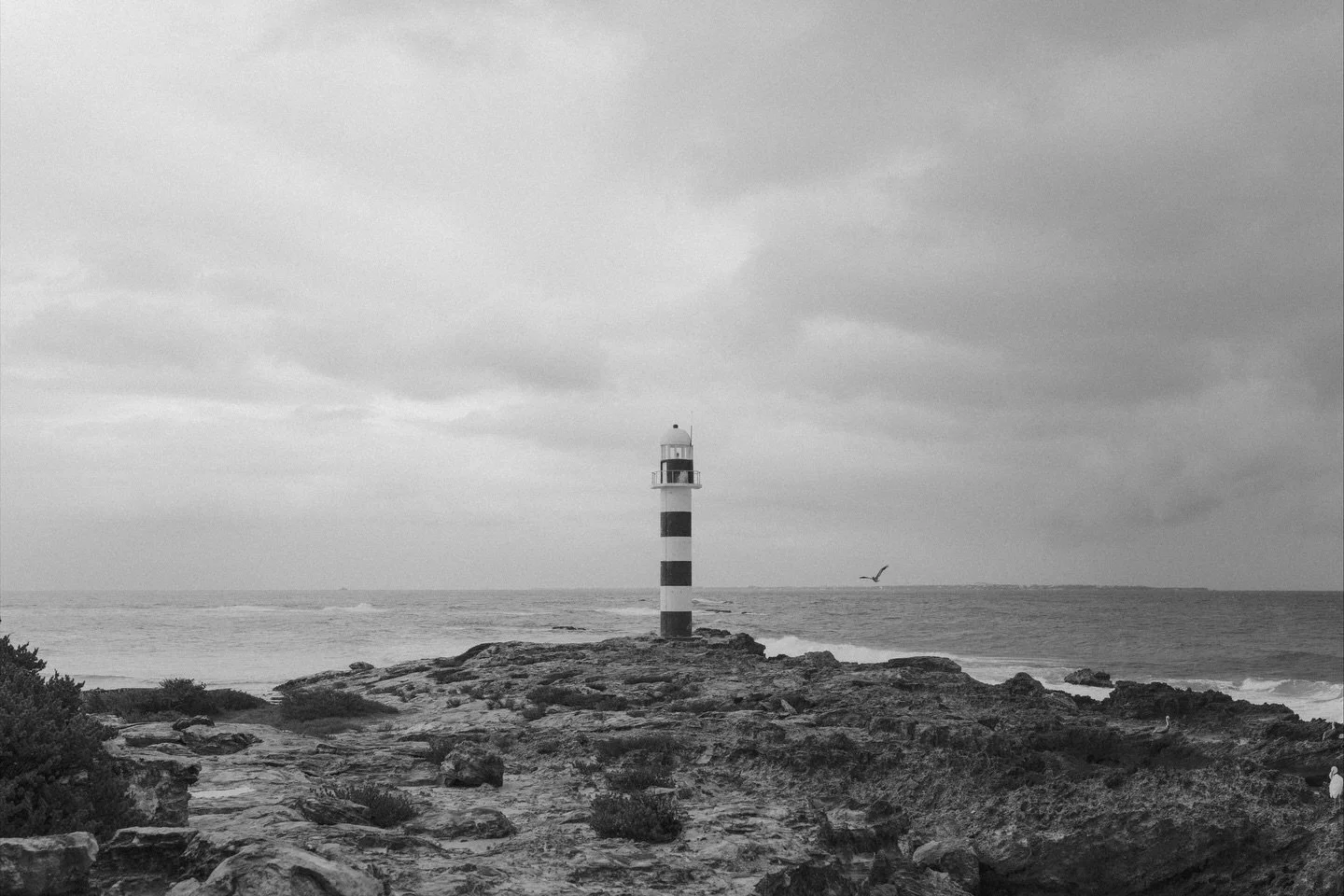 Congratulations Ana and Alyssa! 
.
.
.
.
.
.
.
.
.
.
.
.
.
[ Candid moments. Rainy day lesbian wedding in the Mexican Caribbean. Captured by a documentary digital and film wedding photographer. ]
.
.
.
.
.
#wedding2026 #nizucresort #WeddingPhotograph