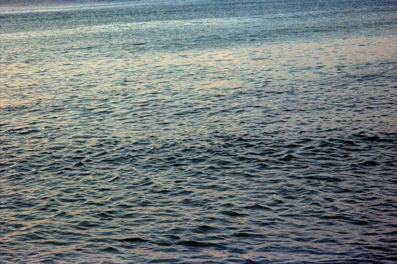 O+M on 35mm film 🎞️ 
.
.
.
.
.
.
.
.
.
.
.
.
.
[ Candid moments captured on 35mm film of two brides enjoying their wedding day. Photos from their 1st look until the dance floor. Documented by a digital and film wedding photographer. ]
.
.
.
.
.
#wed