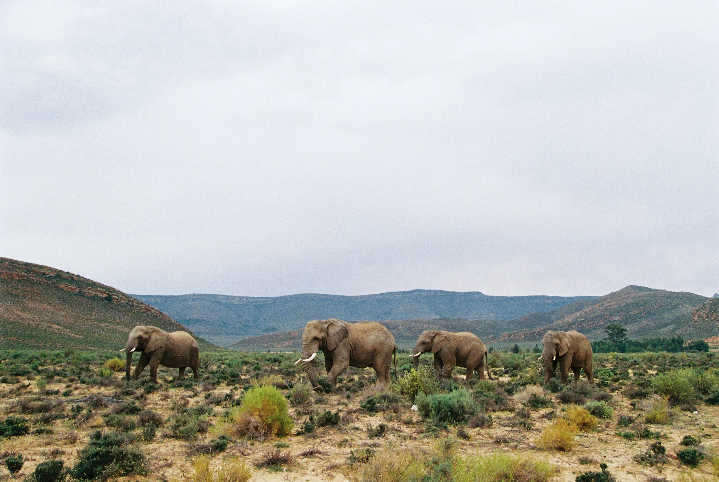 South Africa