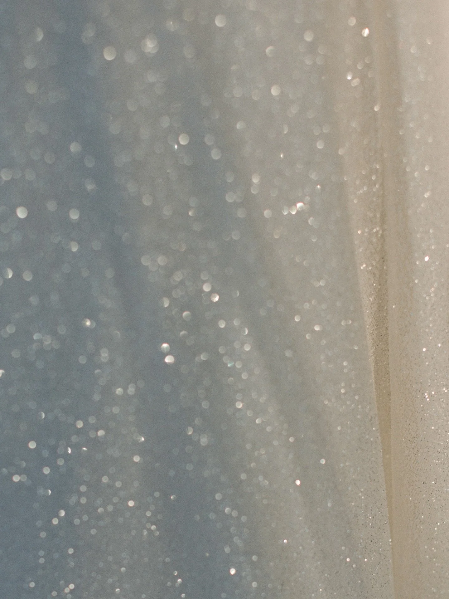 Dreamy vibes.
.
.
.
.
.
.
.
.
.
.
.
.
[ Black and white photos of a people at a wedding. Documented by a digital and film wedding photographer. ]
.
.
.
.
.
#wedding2026 #nizucresort #WeddingPhotographer #RivieraMayaWeddings #hotelesencia todosantoswe