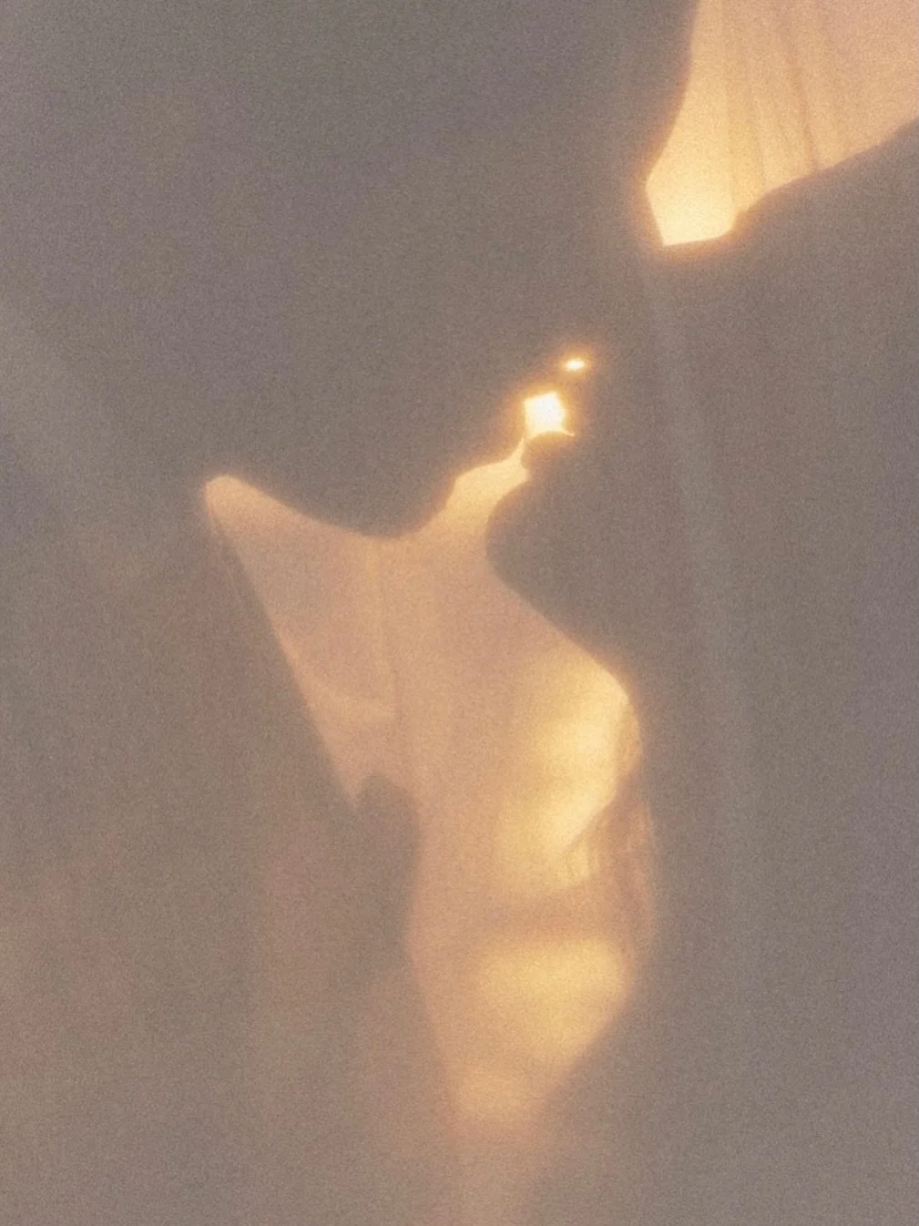 Through the veil at sunset 
.

Keywords: Destination Wedding. Wedding Photographer. Film Wedding Photographer. Mexican Destination Wedding. Mexico City Wedding. Oaxaca Wedding. Caribbean Wedding. Los Cabos Wedding. Puerto Vallarta Wedding. Film photo