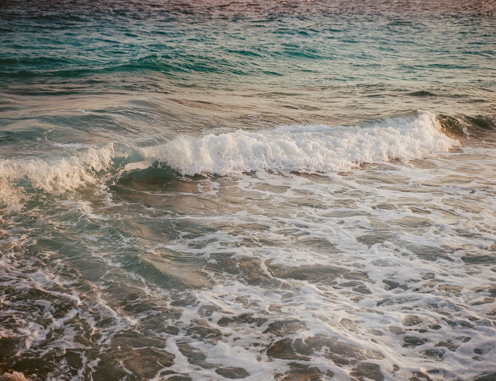 film-19_websize (1)_websize.jpg