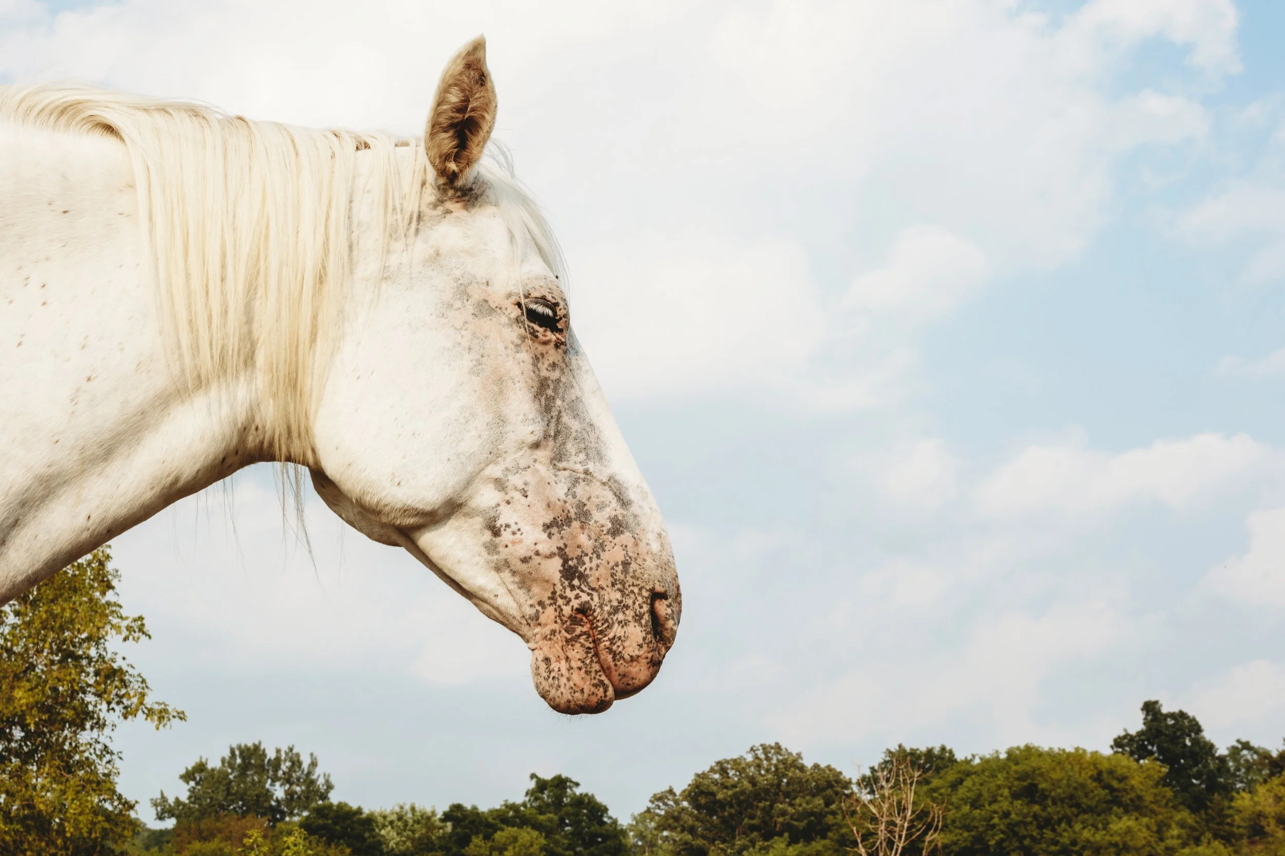 My Time Here is Over