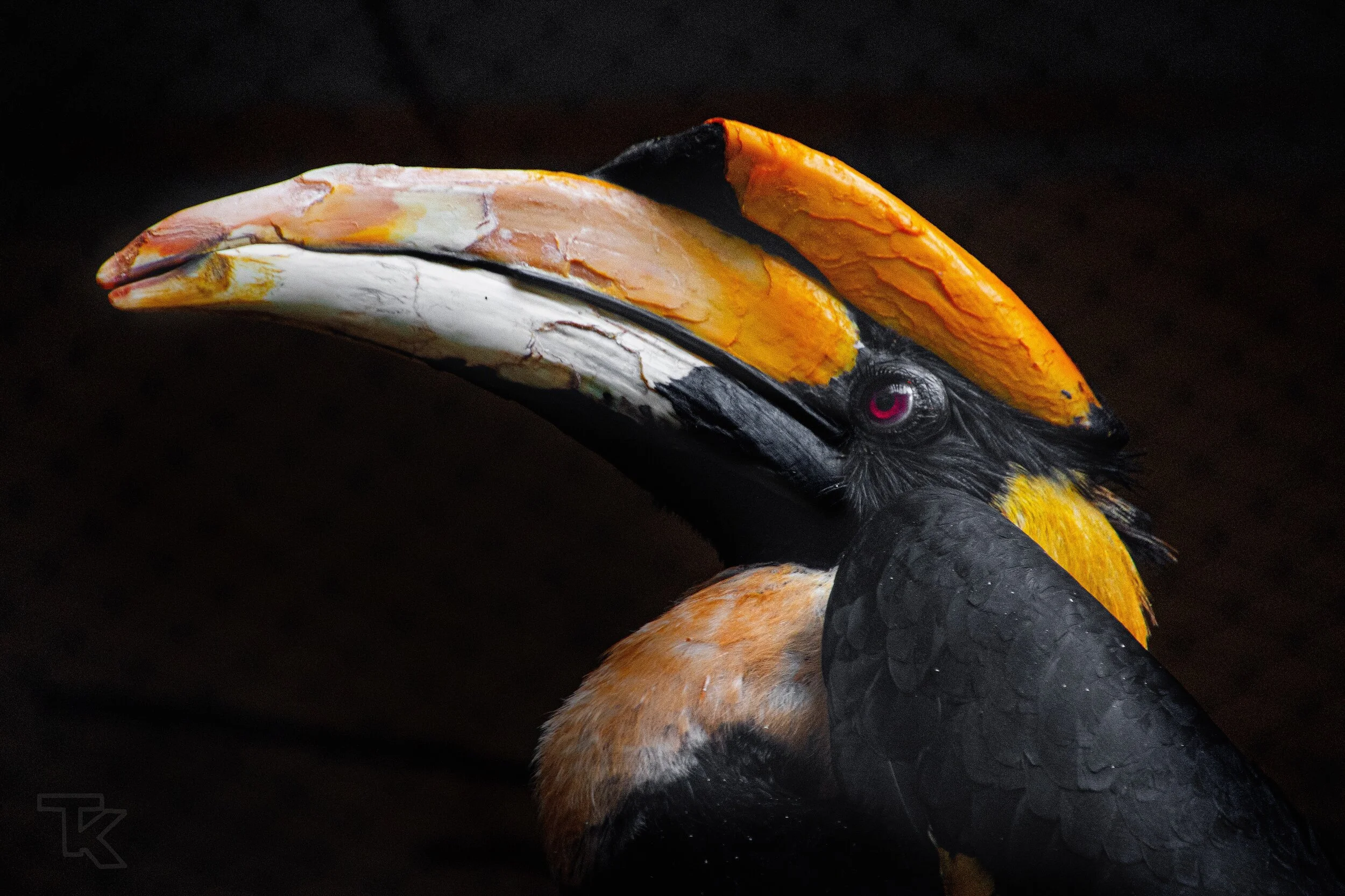 94E18DD1-FAFF-4D73-88CA-9E6B65D5A118 2.JPG