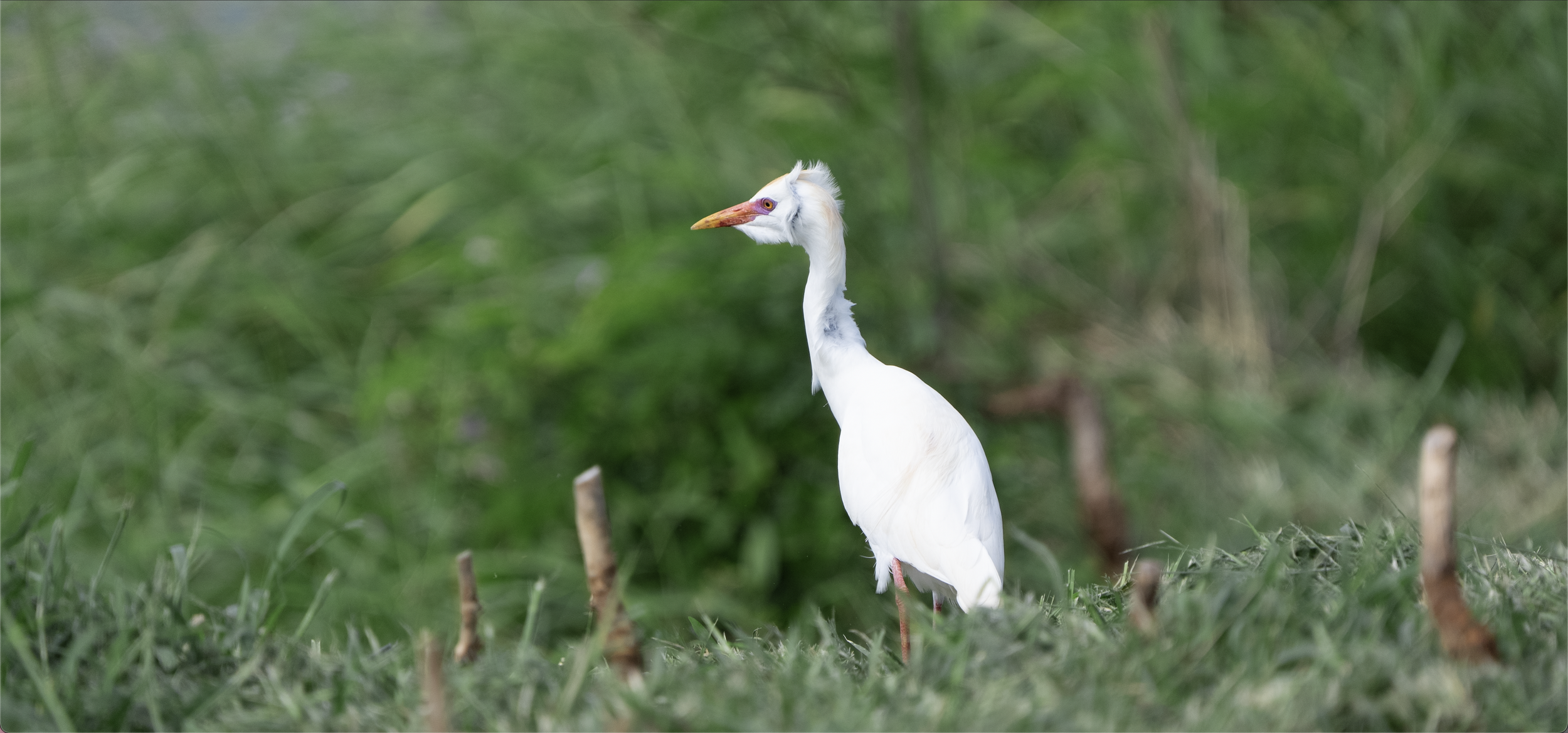 Screen Shot 2023-04-19 at 6.07.24 PM.png