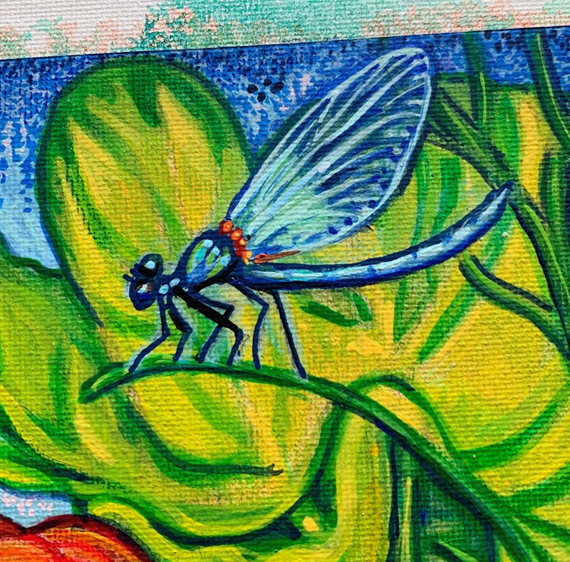 Ophelia Damselfly  Susanne Iles.png