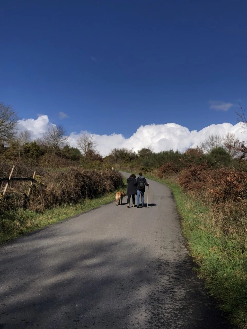 IMG_1913 en tamaño grande.jpeg