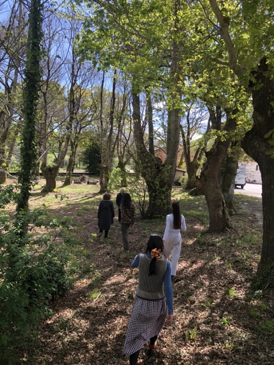 IMG_5687 en tamaño grande.jpeg