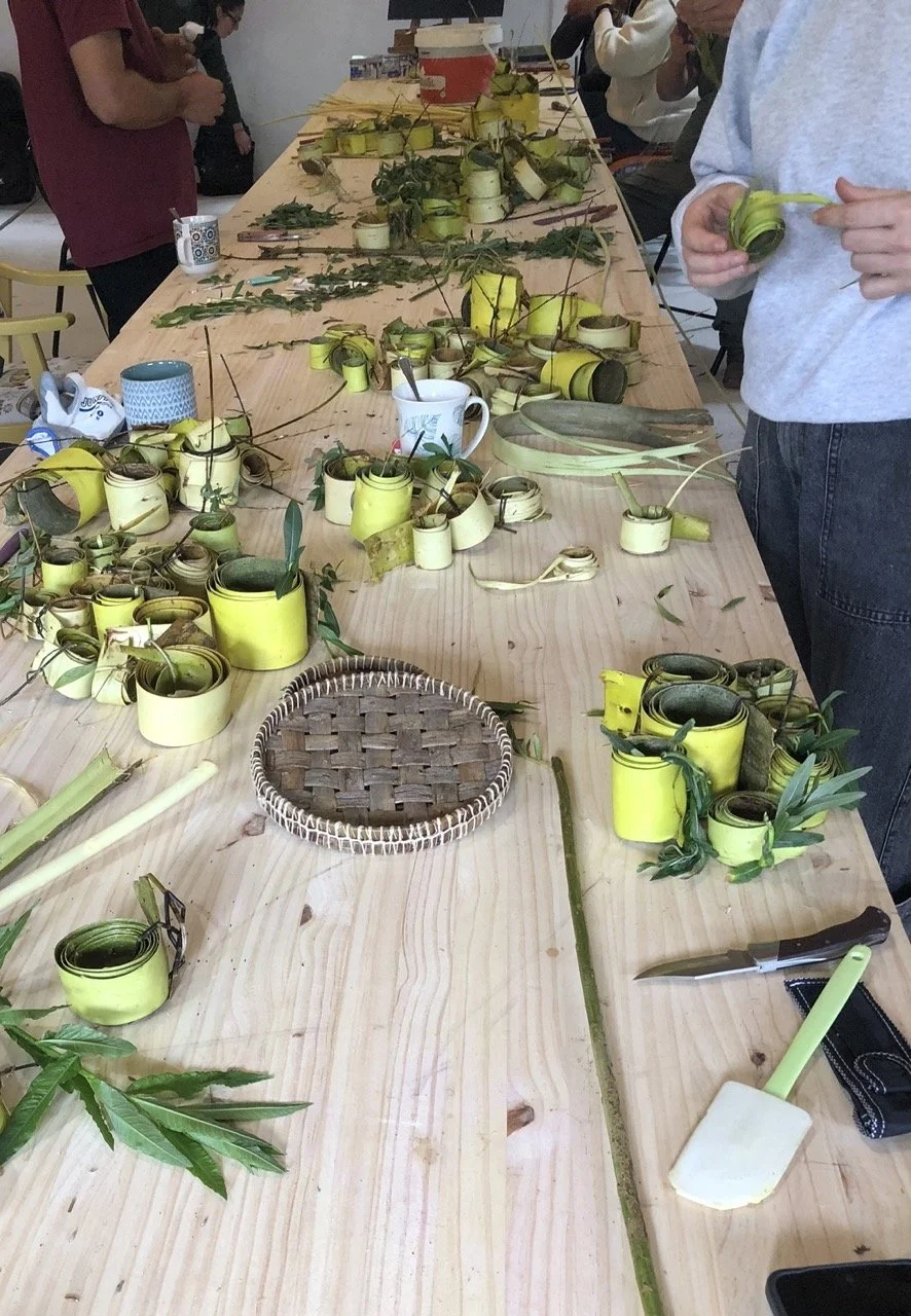 IMG_6613 en tamaño grande.jpeg