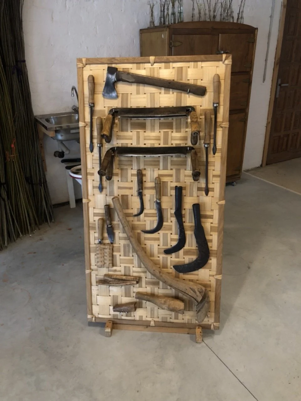 IMG_5281 en tamaño grande.jpeg