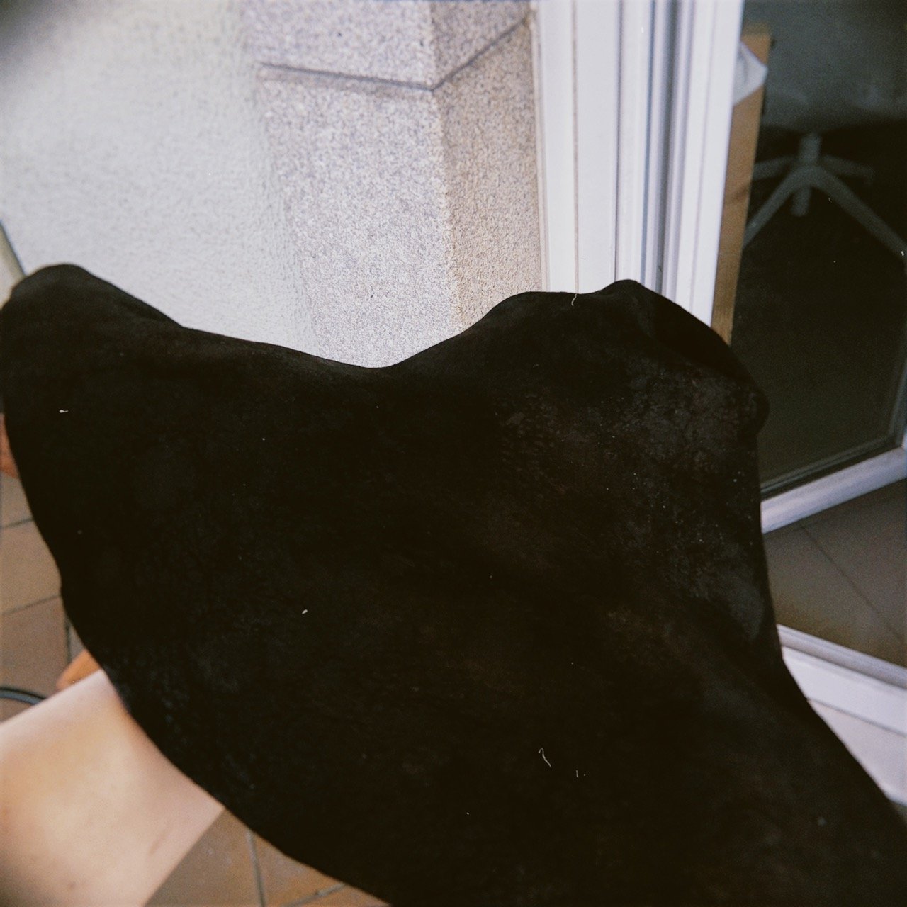 hoga 2025-12-12 122150.971 en tamaño grande.jpeg