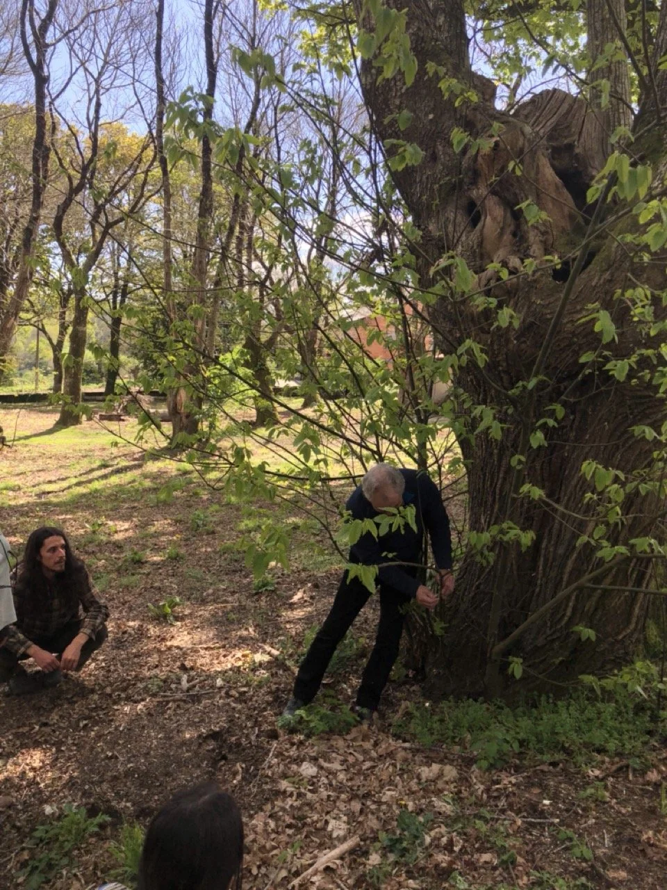 IMG_5689 en tamaño grande.jpeg