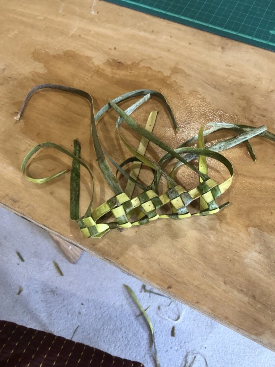 IMG_6833 2 en tamaño grande.jpeg