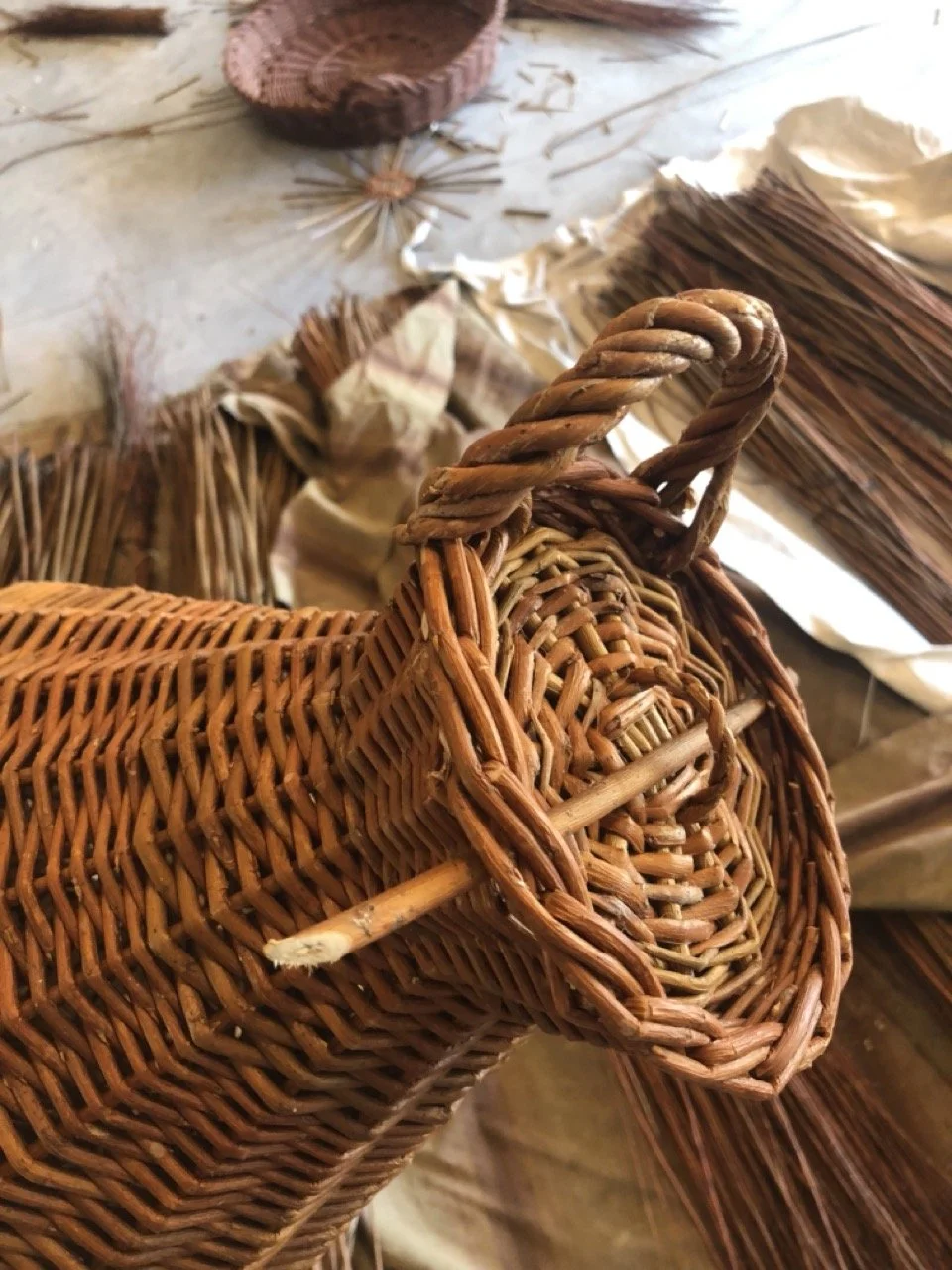 IMG_8547 en tamaño grande.jpeg