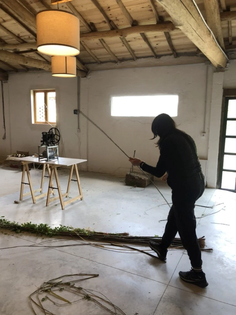 IMG_6838 en tamaño grande.jpeg