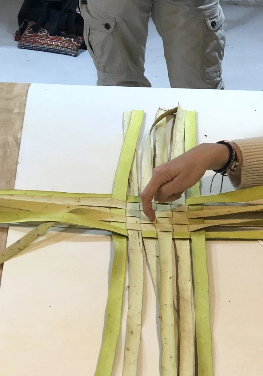 IMG_6729 en tamaño grande.jpeg