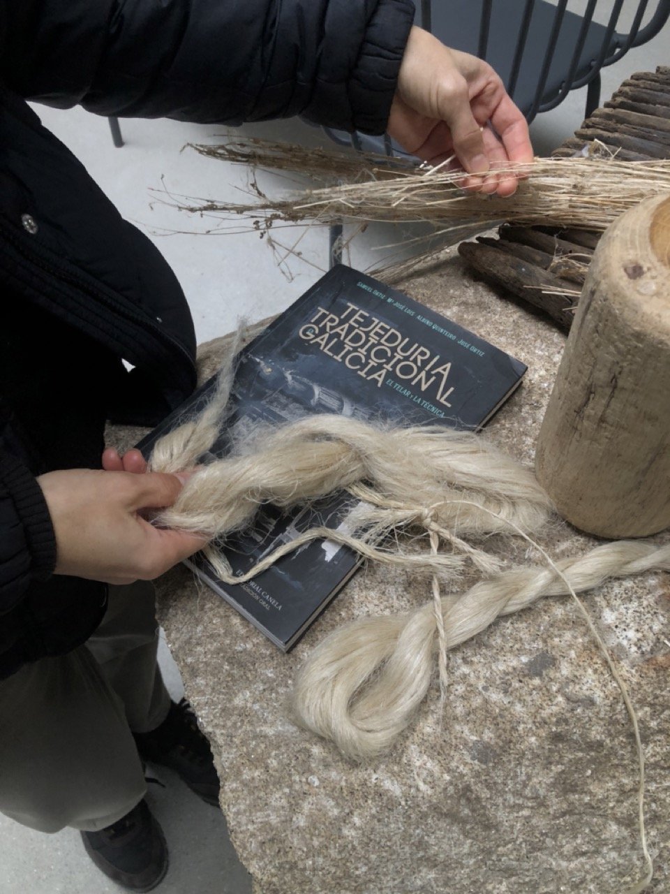 IMG_1891 2 en tamaño grande.jpeg