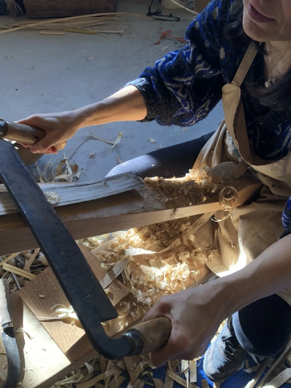 IMG_5564 en tamaño grande.jpeg