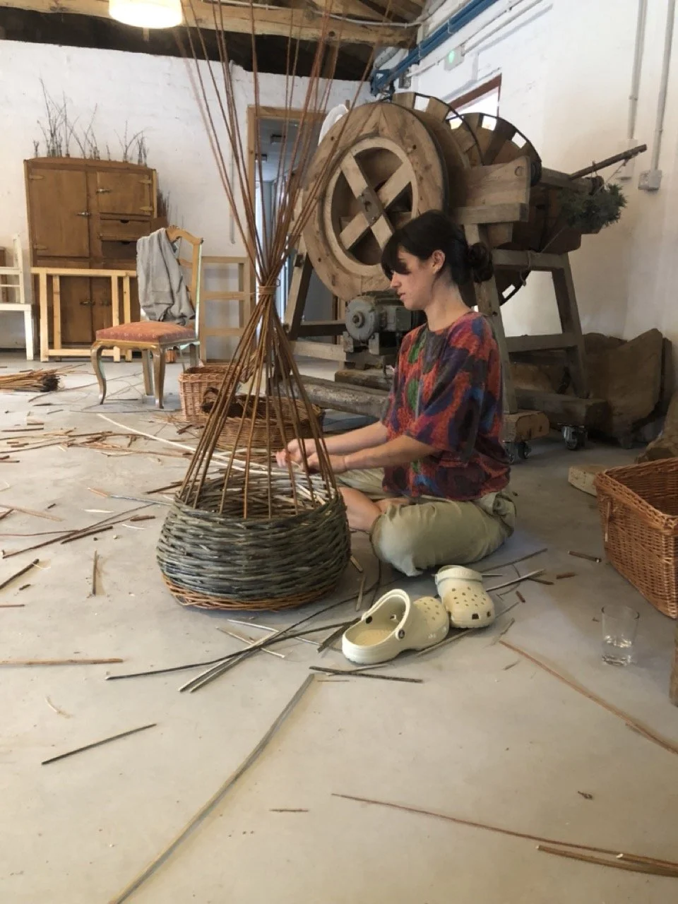 IMG_8806 en tamaño grande.jpeg