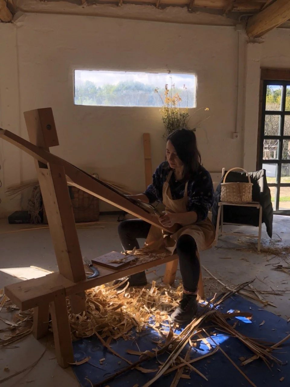 IMG_5562 en tamaño grande.jpeg