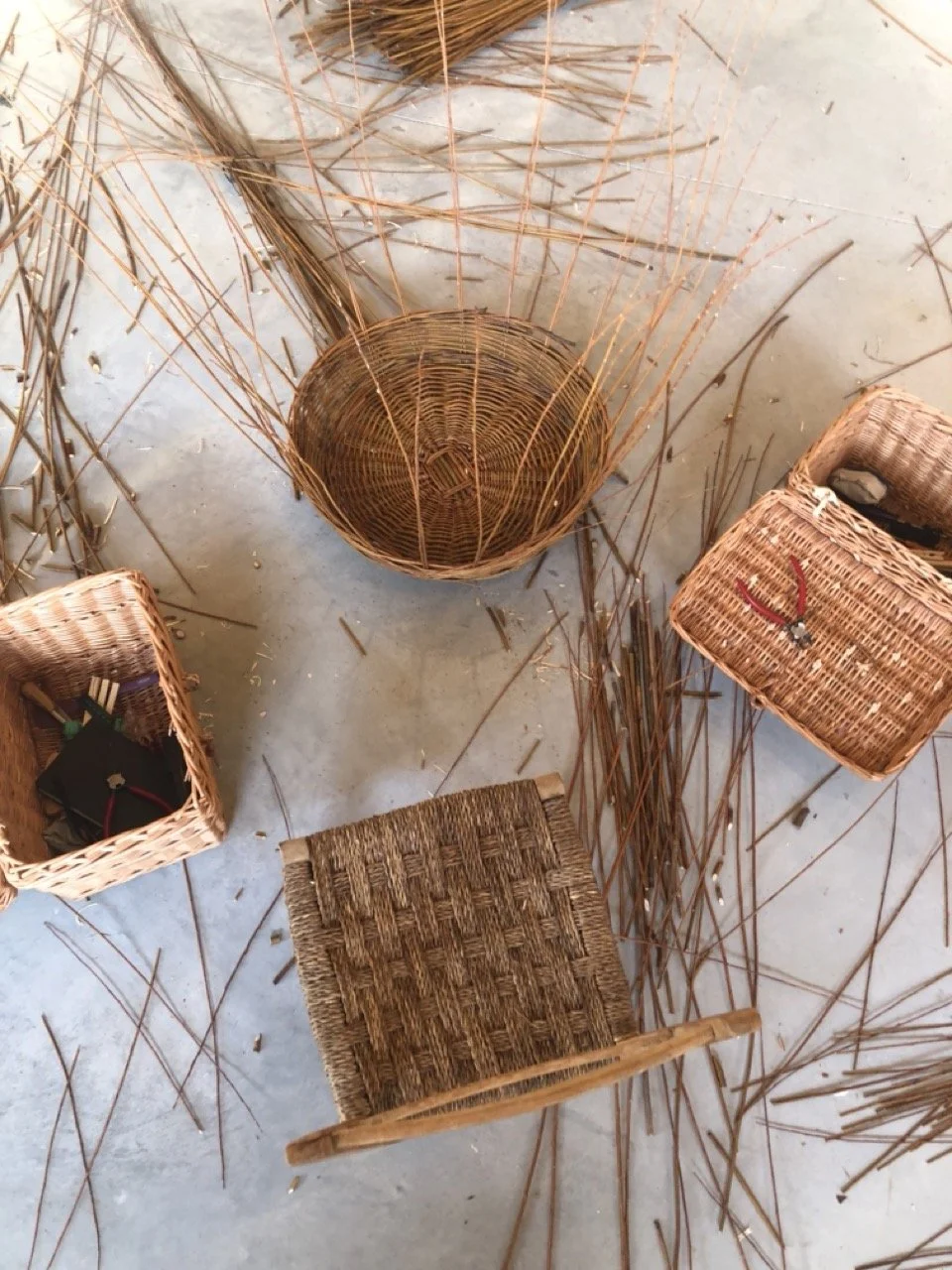 IMG_8577 en tamaño grande.jpeg