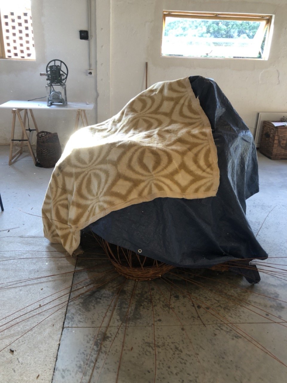 IMG_8580 en tamaño grande.jpeg