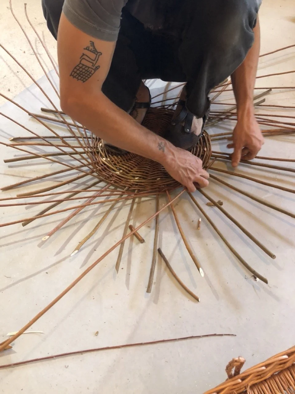 IMG_8503 en tamaño grande.jpeg