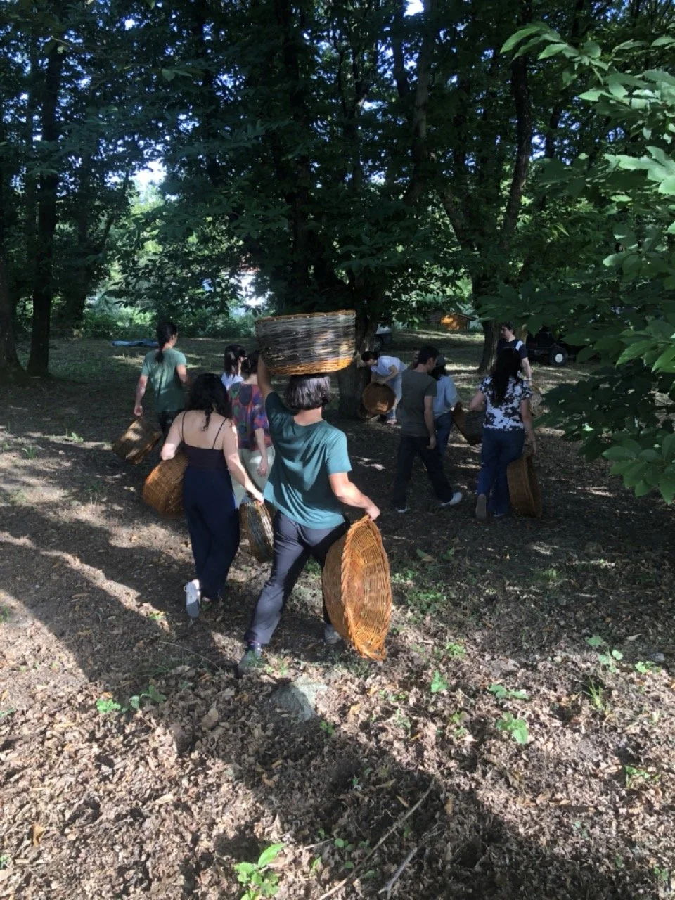 IMG_8811 en tamaño grande.jpeg