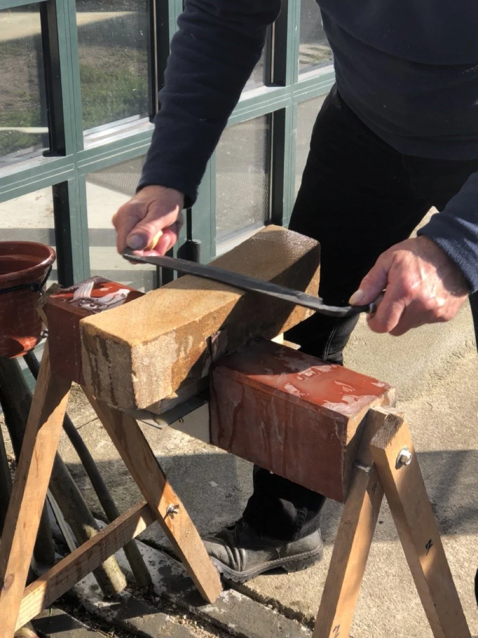 IMG_5748 en tamaño grande.jpeg