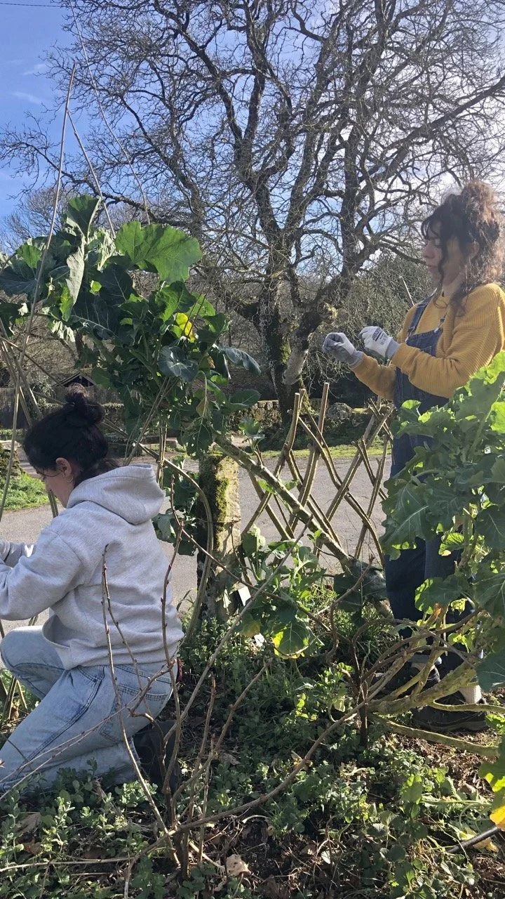 IMG_2112 2 en tamaño grande.jpeg