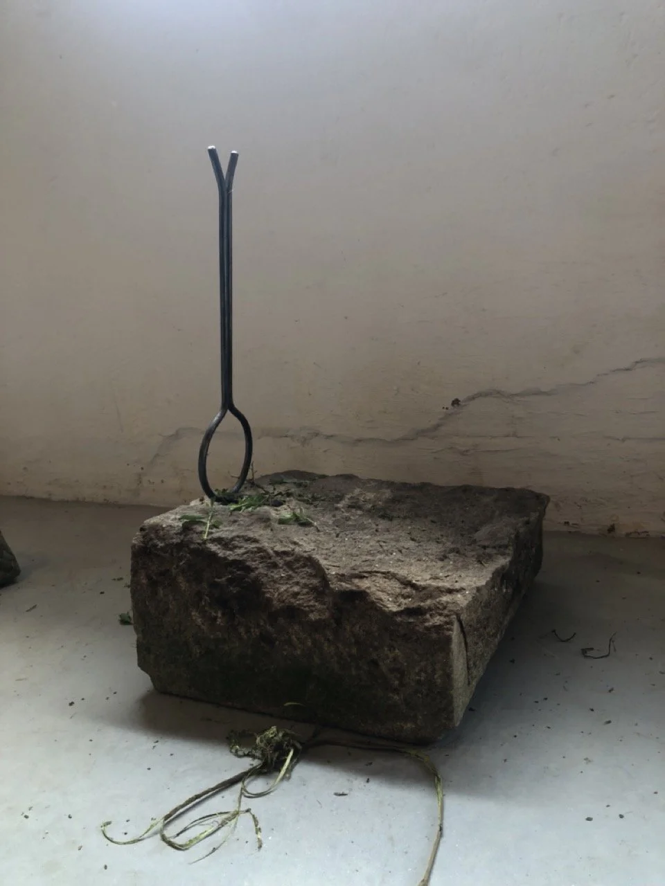 IMG_6824 en tamaño grande.jpeg