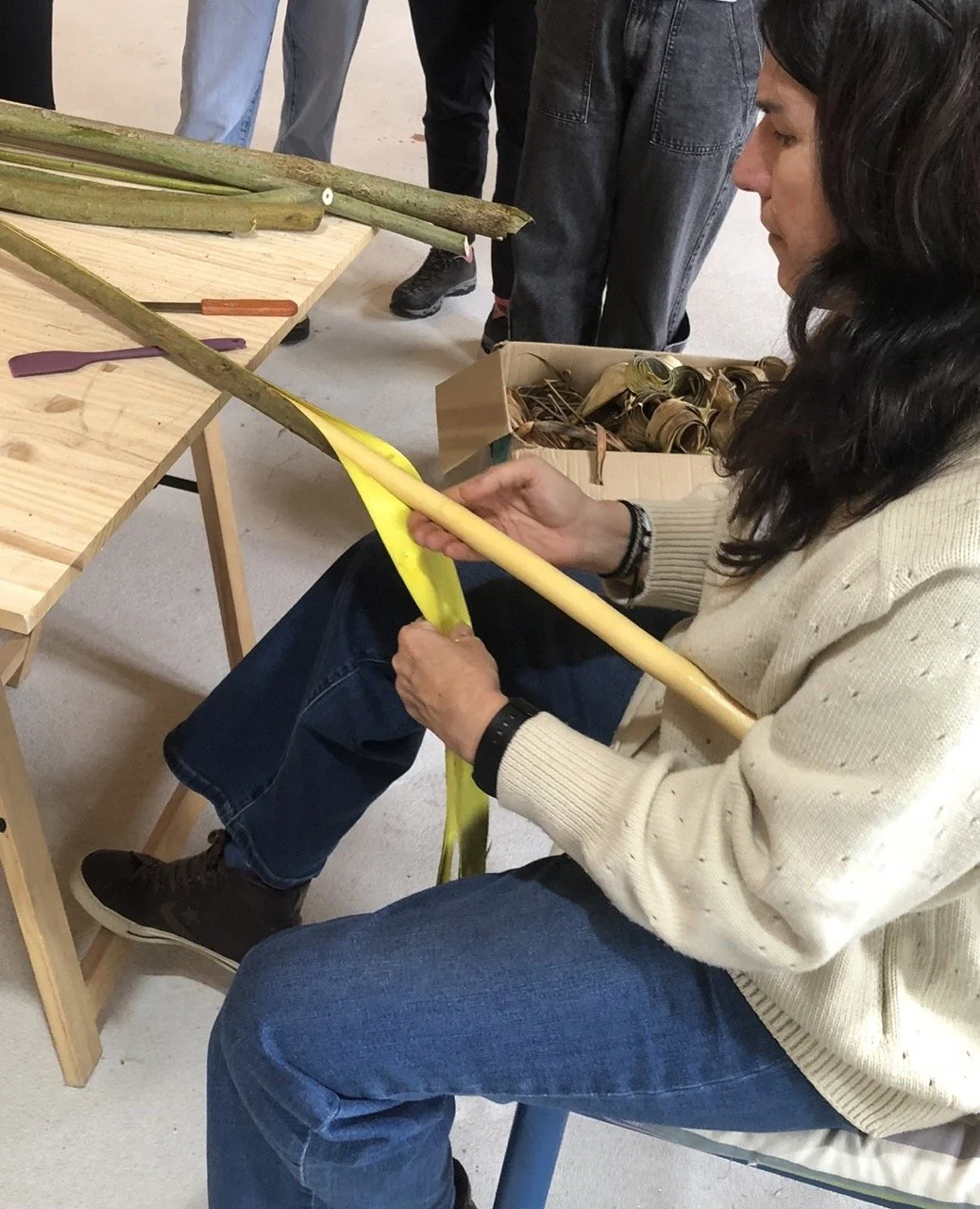 IMG_6588 en tamaño grande.jpeg