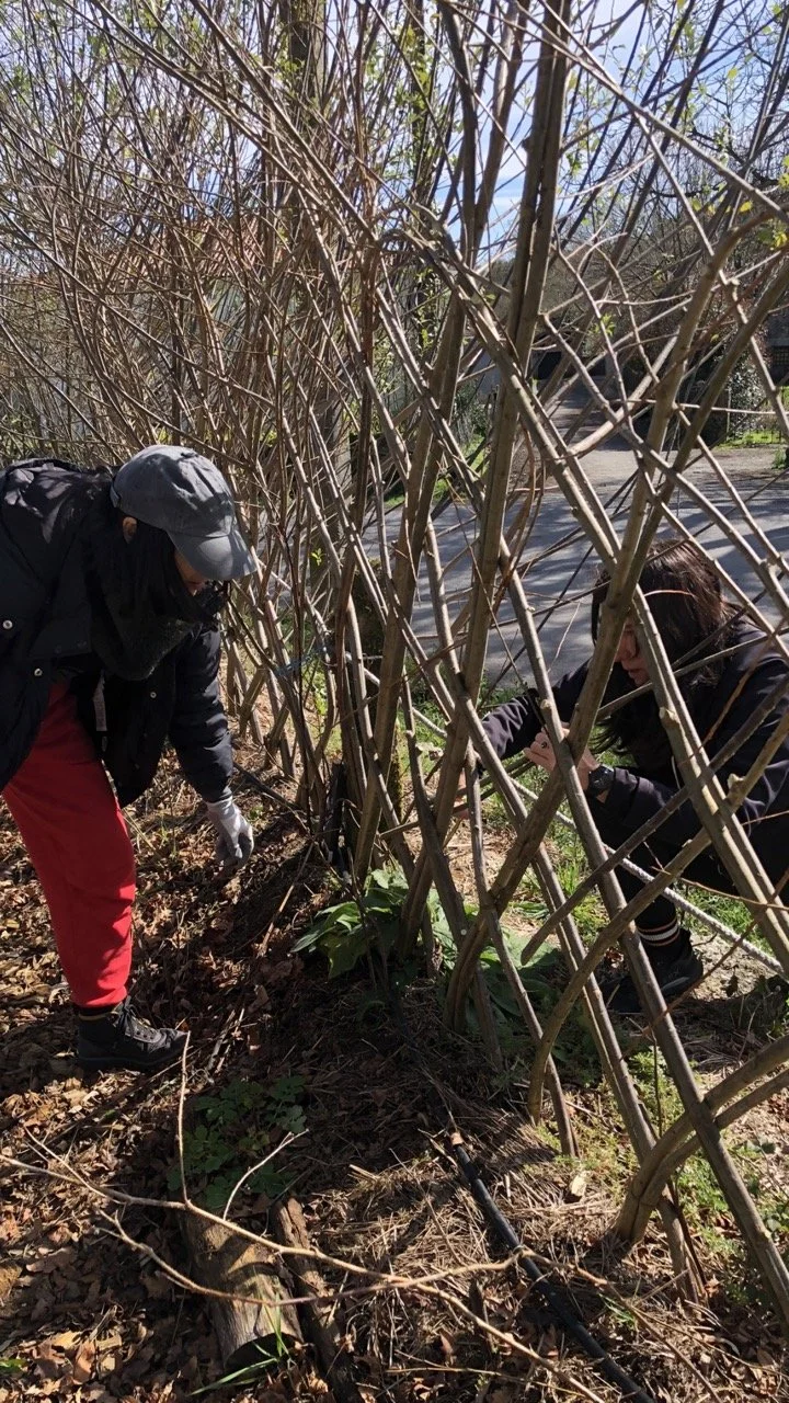 IMG_2039 2 en tamaño grande.jpeg