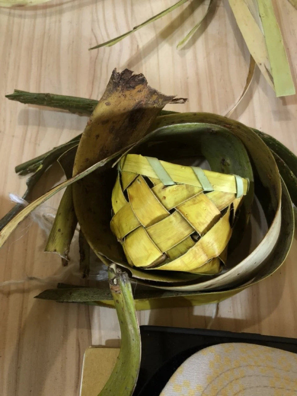 IMG_6792 en tamaño grande.jpeg