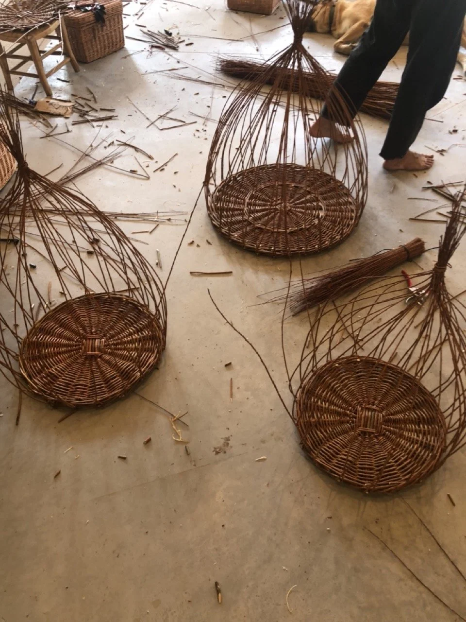 IMG_8535 en tamaño grande.jpeg