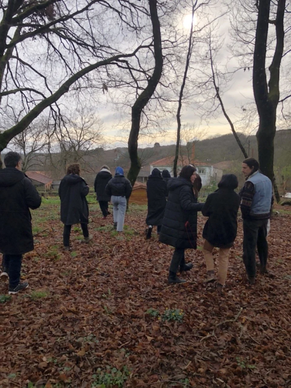 IMG_1882 2 en tamaño grande.jpeg