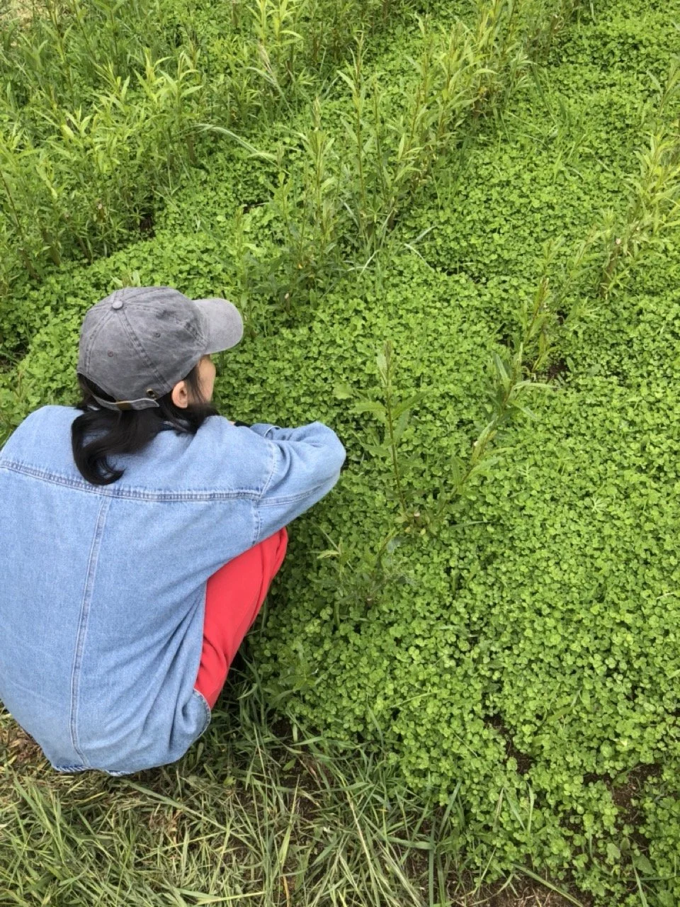 IMG_6623 en tamaño grande.jpeg